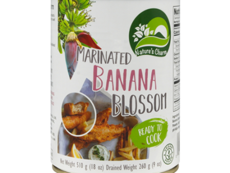 Nature s Charm Marinated Banana Blossom - 510g Supply