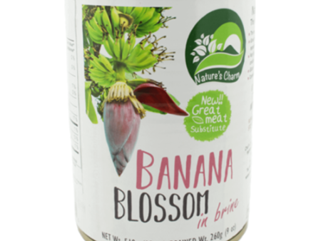 Nature s Charm Banana Blossom in Brine - 510g Sale