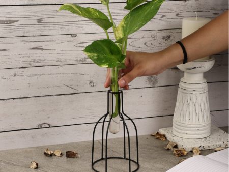 Wire Vase Testube Planter Discount