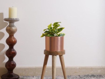 Copper Look On Three Leg Stool Metal Planter | Plant Not Included For Sale