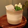 Thin Stripe Planter Basket Discount