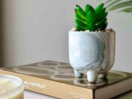 Artificial Moonglow Succulent With Ceramic Pot | 6 inches For Cheap