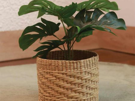 Earthy Touch Natural Kauna Grass Planter | Beige | Plant Not Included Fashion