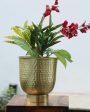 Gold Finish Planter Bucket | Plant Not Included For Sale