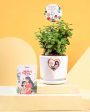 Jade Mini Plant & Pot With Stand Online Sale