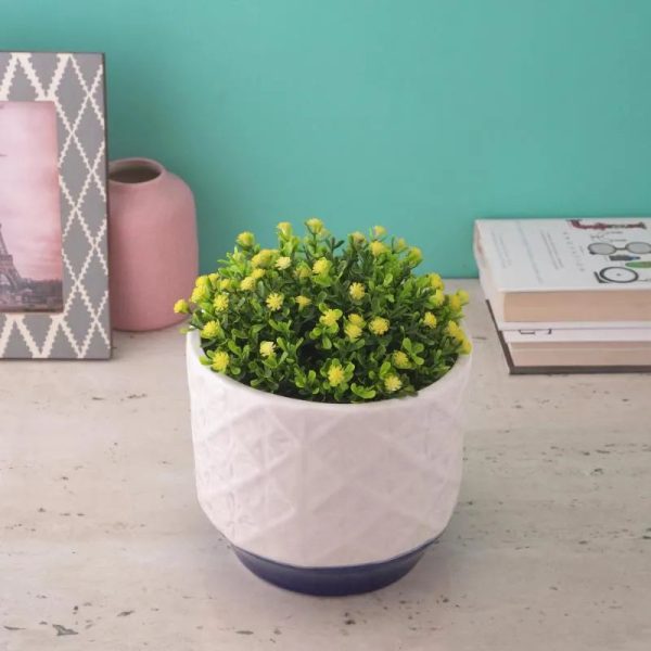 White Marble Textured Ceramic Planter Sale