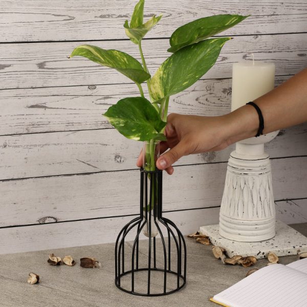 Wire Cage Testube Planter Sale