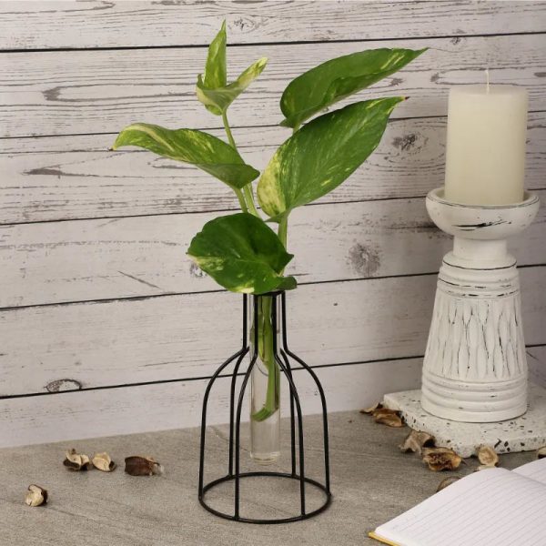 Wire Vase Testube Planter Discount