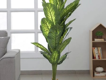 Artificial Dieffenbachia With Black Pot Tall Silk Plants | 4 feet For Discount