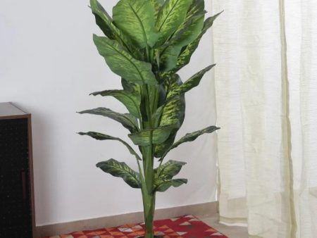 Artificial Green Dieffenbachia Plant With Black Pot | 4.5 feet Hot on Sale