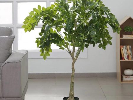 Artificial Ficus Silk Tree with Plastic Nursery Pot | 4 feet Discount