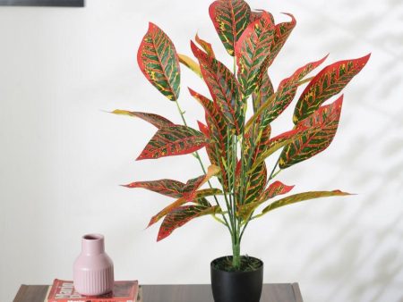 Artificial Croton Plant For Home Décor With Black Pot | 2.3 feet Online now