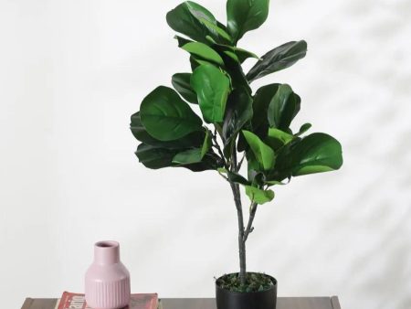 Artificial Fiddle Leaf Fig Plant With Black Pot | 2.5 feet Online now