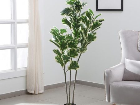 Classy Artificial Real Touch Fiddle Leaf Plant With Pot | 58 Inch on Sale