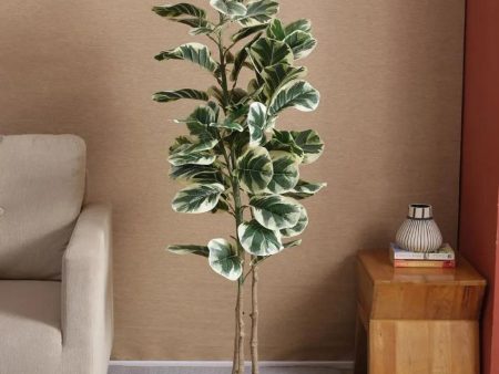 Artificial Fiddle Leaf Fig Variegated Plant With Black Pot | 5 feet Hot on Sale