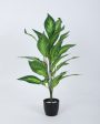 Artificial Dieffenbachia Plant For Home Décor With Black Pot | 2.3 feet Fashion