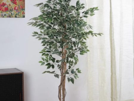 Beautiful Artificial Ficus Variegated Plant With Black Pot | 6 feet Online now