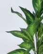 Artificial Dieffenbachia Plant For Home Décor With Black Pot | 2.3 feet Fashion