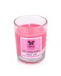 Home fragrances Shot Glass Candles | 40G | Set of 6 | Multiple Fragrances | 5.1 x 7.6 cm   2 x 3 inches Online Hot Sale