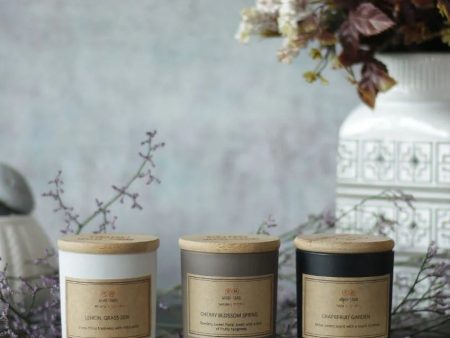 Grapefruit Strong Scented Candles | Set of 3 | 10.16 x 15.24 cm   4 x 6 inches Online