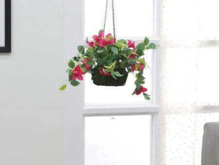 Artificial Bougainvillea Plant with Hanging Basket | 1.5 feet on Sale