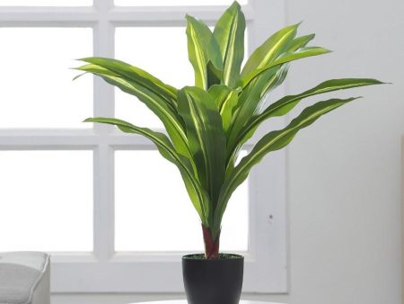 Artificial Dracaena Silk Plant Evergreen Dracaena Marginata Fake Yucca Palm Tree With Black Pot | 2 feet Online