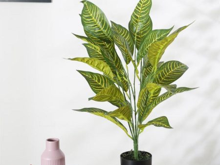 Alli Artificial Croton Plant For Home Décor With Black Pot | 2.3 feet Hot on Sale