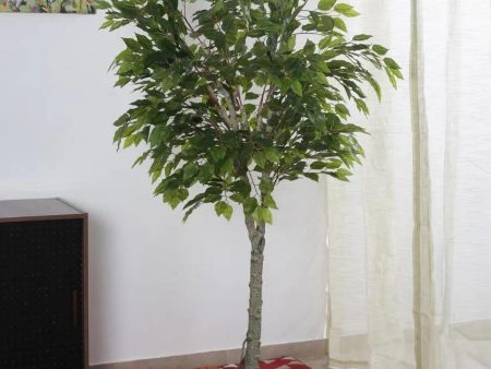 Artificial Ficus Variegated Plant Natural Looking With Black Pot | 6 feet Fashion