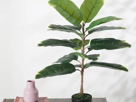 Artificial Banana Yellow Plant With Black Pot For Interior Decor | 2.5 feet Online