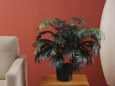 Artificial Areca Palm Plant For Home Décor Without Pot | 2.5 feet Cheap