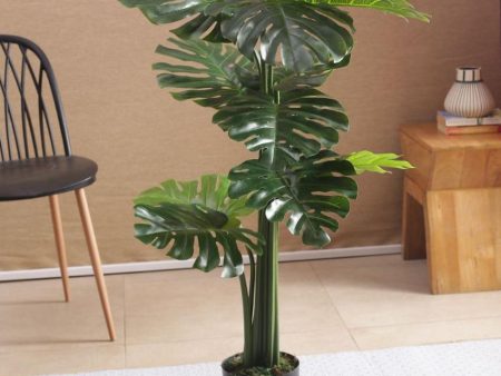 Beautiful Artificial Pvc Silk Monstera Plant Big Leaves With Black Pot | 6 feet For Cheap