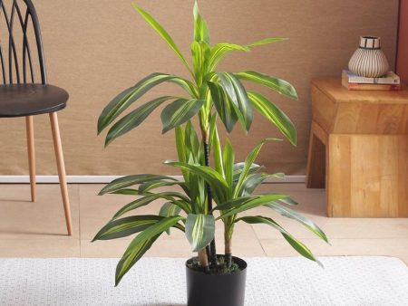 Artificial Dracaena Plant For Home Decor With Black Pot | 3 feet Hot on Sale