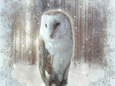 BLUE153 - Enchanted Winter Owl    - 12x12 Discount