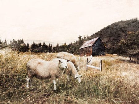 BLUE158 - Sheep in the Meadow    - 16x12 For Sale